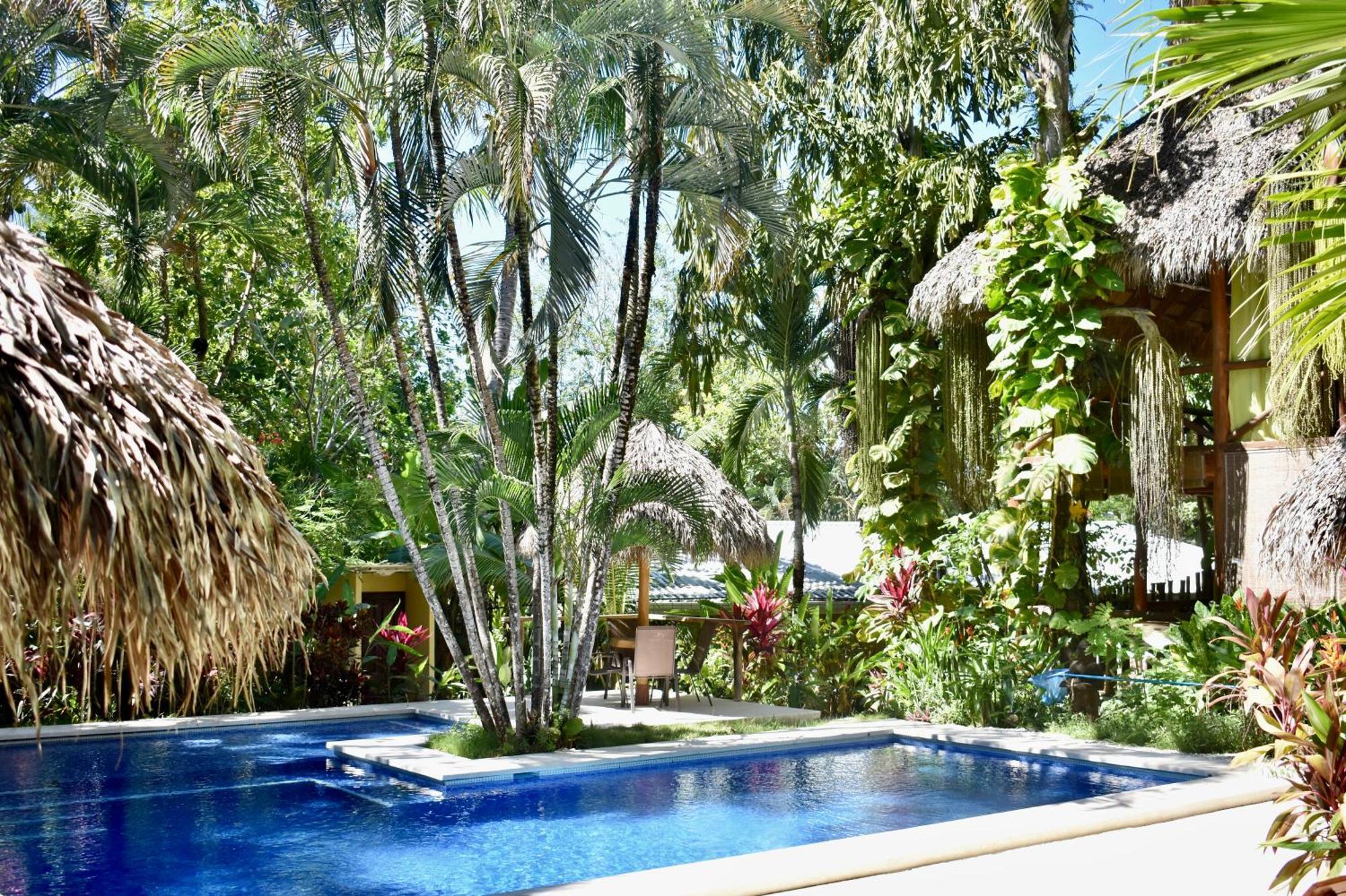 Fuego Lodge Playa Santa Teresa  ภายนอก รูปภาพ