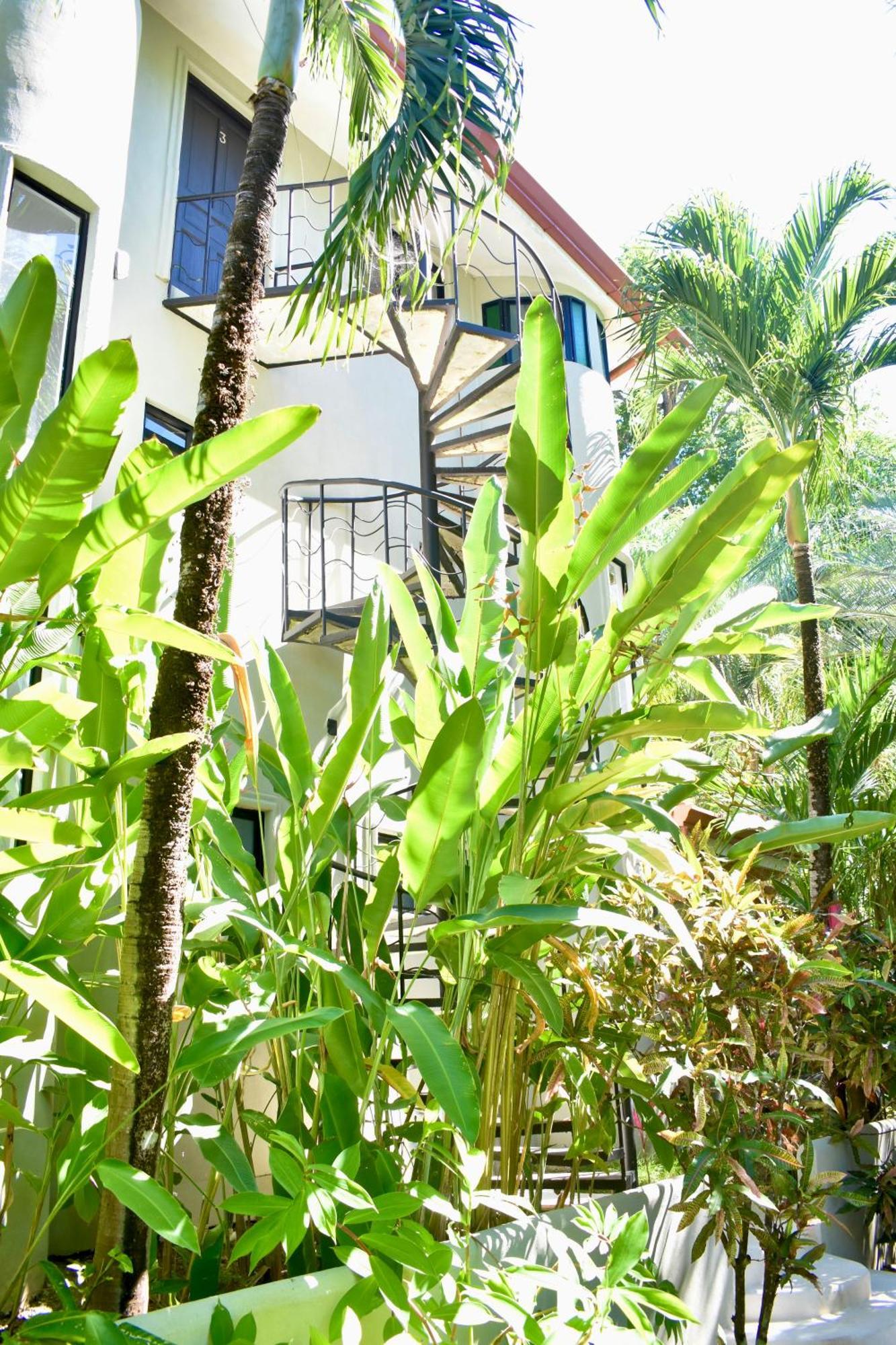 Fuego Lodge Playa Santa Teresa  ภายนอก รูปภาพ