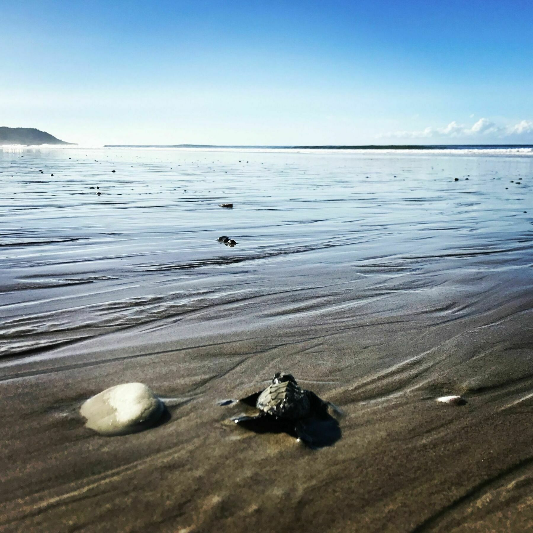 Fuego Lodge Playa Santa Teresa  ภายนอก รูปภาพ