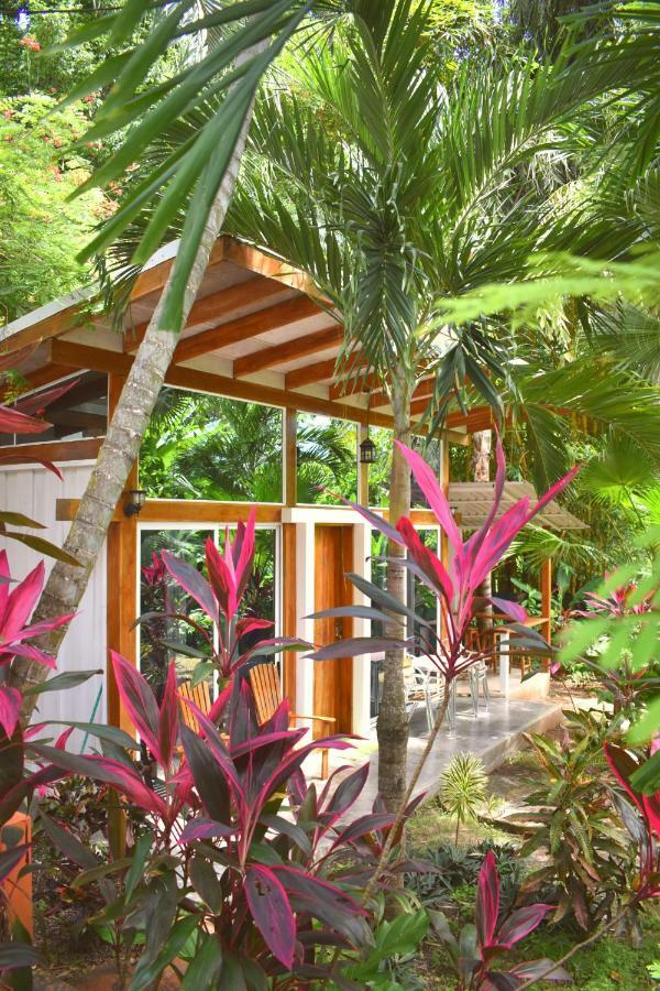 Fuego Lodge Playa Santa Teresa  ภายนอก รูปภาพ